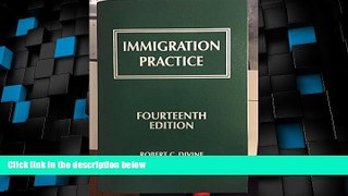 Big Deals  Immigration Practice  Full Read Best Seller