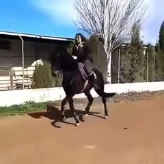 Whats Girls Doing With Horses