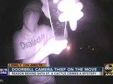 Person steals doorbell camera in Phoenix