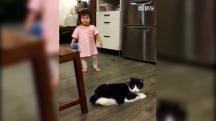 Quand un chat fait un croche-patte