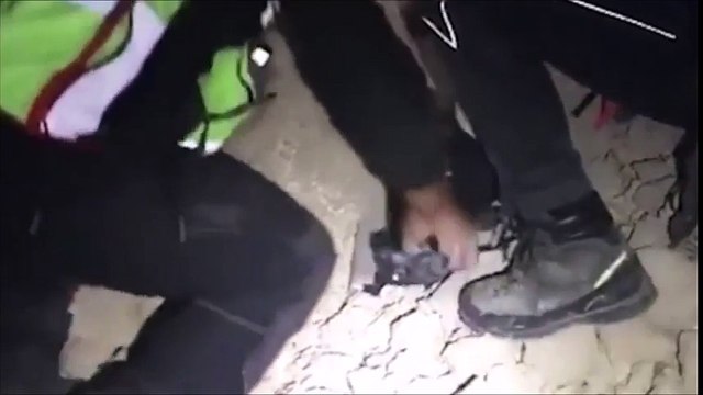 Un chien sauvé des ruines du séisme en Italie !