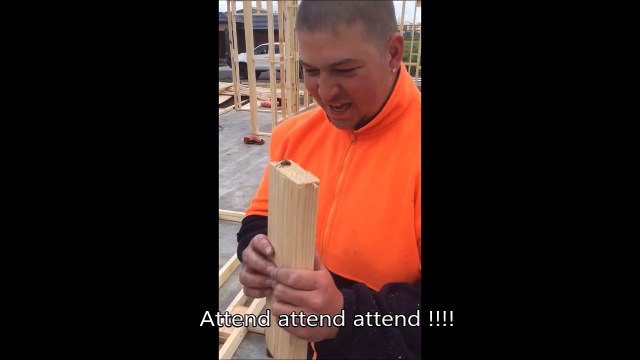 Cet ouvrier accepte de manger une araignée vivante pour 20$... Pari réussi