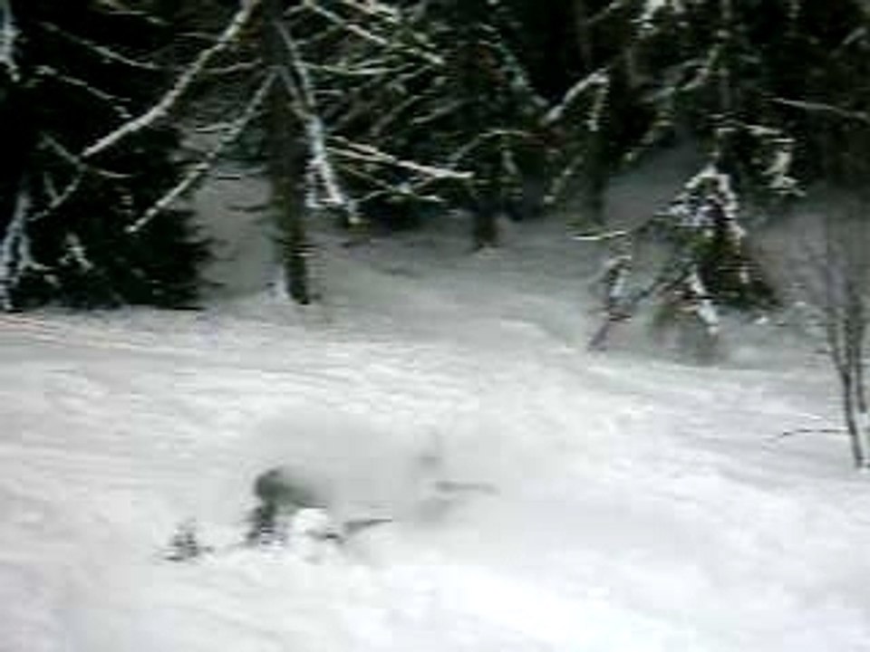 ski04_drick03