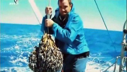 La malédiction du plastique