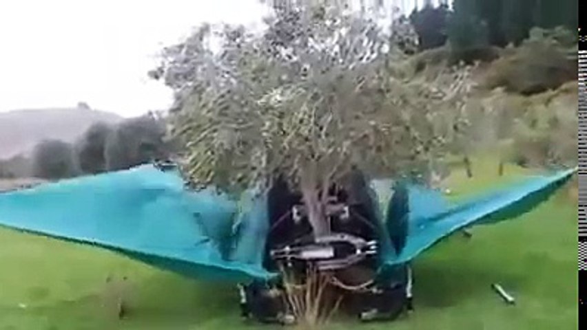کیا ٹیکنالوجی ہے پھلوں کو محفوظ اتارنے کی