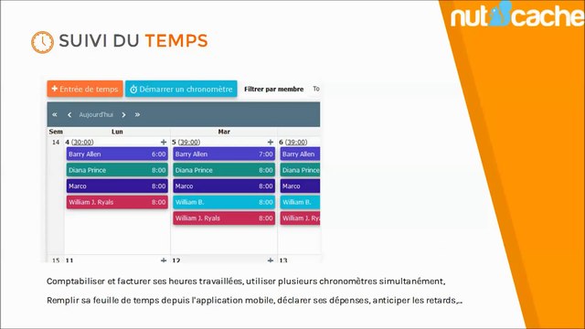 Meilleur logiciel de gestion de projet gratuit en ligne: Nutcache