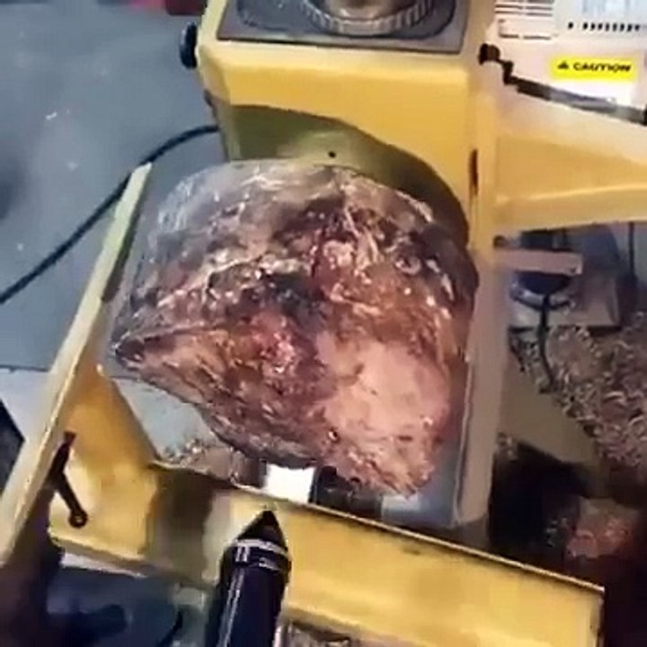 یہ تو بڑا ماہر بندہ ہے