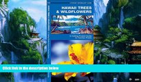 Books to Read  Hawaii Trees   Wildflowers: A Folding Pocket Guide to Familiar Species (Pocket