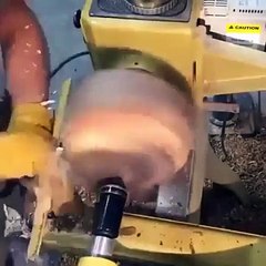 یہ تو بڑا ماہر بندہ ہے