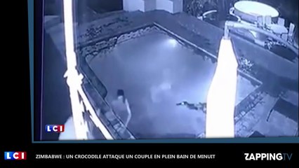 Zimbabwe : Un crocodile attaque un couple en plein bain de minuit