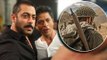 Salman Khan Shahrukh Khan Scene In Tubelight, Shah Rukh Cameo Details