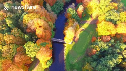 Beautiful autumnal drone footage