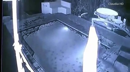 Un crocodile attaque un couple dans une piscine