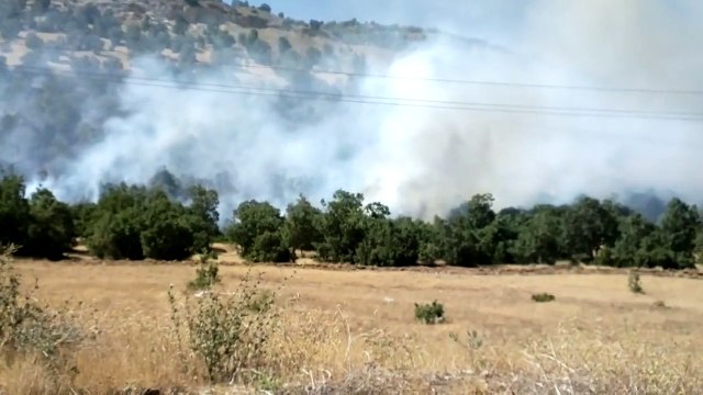 Meriwan- Fire destroyed miles of forest- Summer 2016