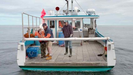 Manchester by the sea - Bande annonce HD