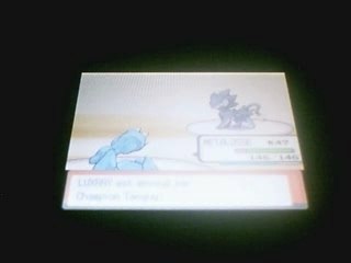 8 eme Badge Pkmn Perle