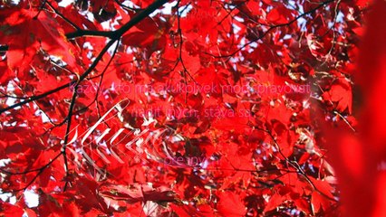 Moc spravovať a riadiť je vždy služba