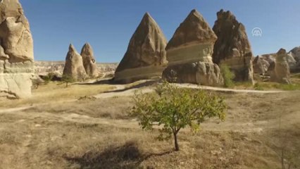 Kapadokya'da Sonbahar