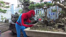 Adhesive Mouse Spiderman and Frozen Elsa, Joker vs Catwomen Pranks Fun Superheroes