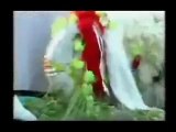 Punjabi Totay | Funny Bakra Animals Video | Punjabi Dubbing Video 2016