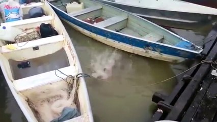 Ecco cosa succede se fate il bagno in queste acque!