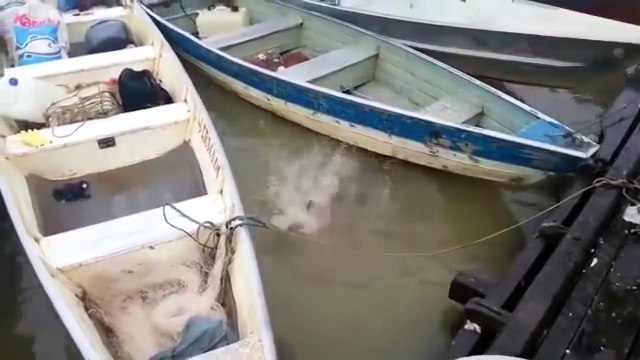 Ecco cosa succede se fate il bagno in queste acque!