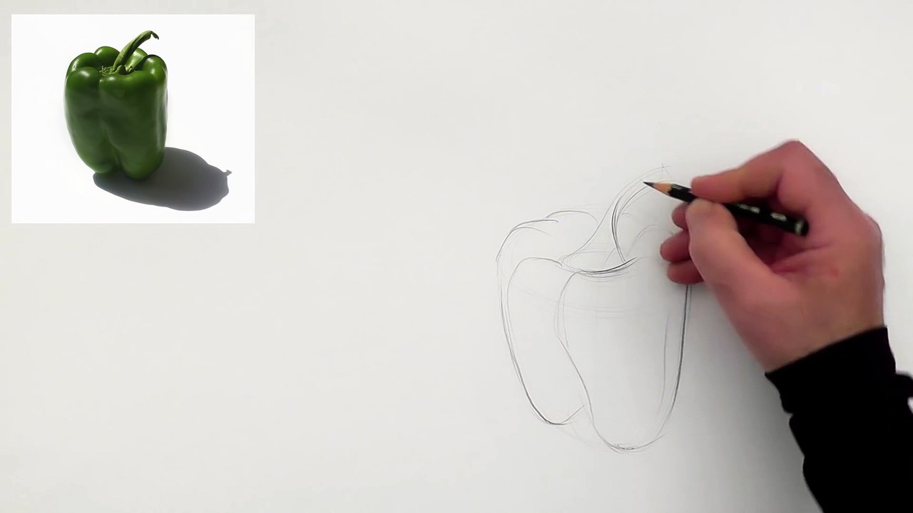 Self-learning | Drawing of pepper | Drawing organic objects | Academic Drawing
