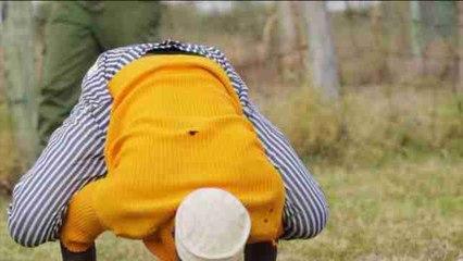 Yoguis con pijamas de rayas