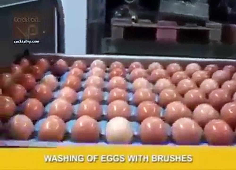 How egg yolk seperated