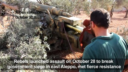 Russia declares 10-hour Aleppo 'humanitarian pause' on Friday