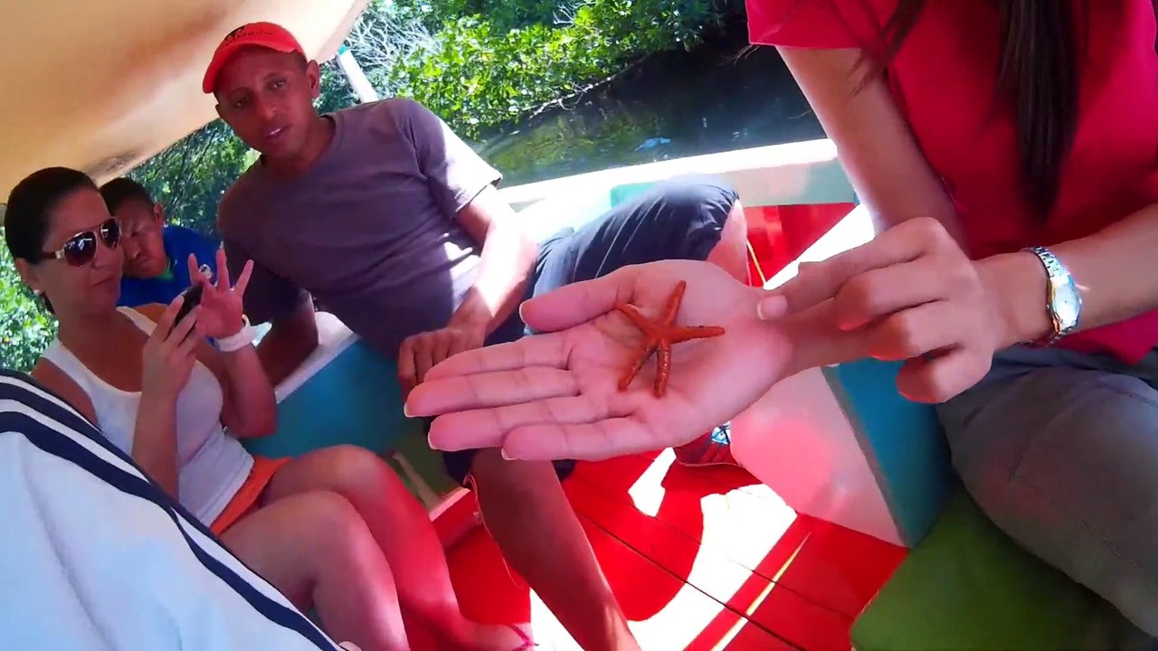 Laguna de la Restinga Isla de Margarita Venezuela