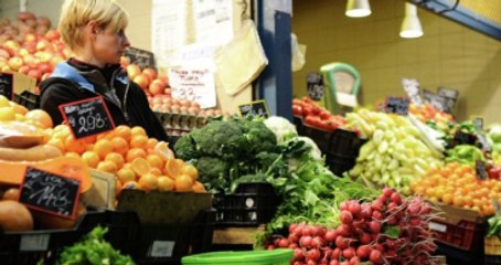 Rus Ekonomi Bakanlığı: Yasağın Kaldırılması Talimatı Gelmedi