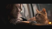 «باب، گربه خیابانی»؛ فیلمی درباره بازگشت به زندگی عادی