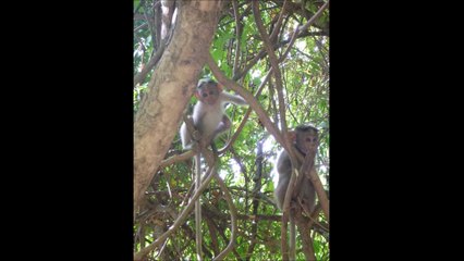 Un long WE entre amis