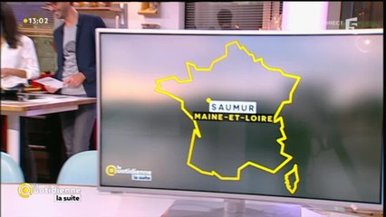 Pleurotes: le champignon des cavernes!