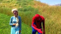 Frozen Elsa Captures a Real Pet Unicorn!! Spiderman and Maleficent Fight over Unicorn in 4K