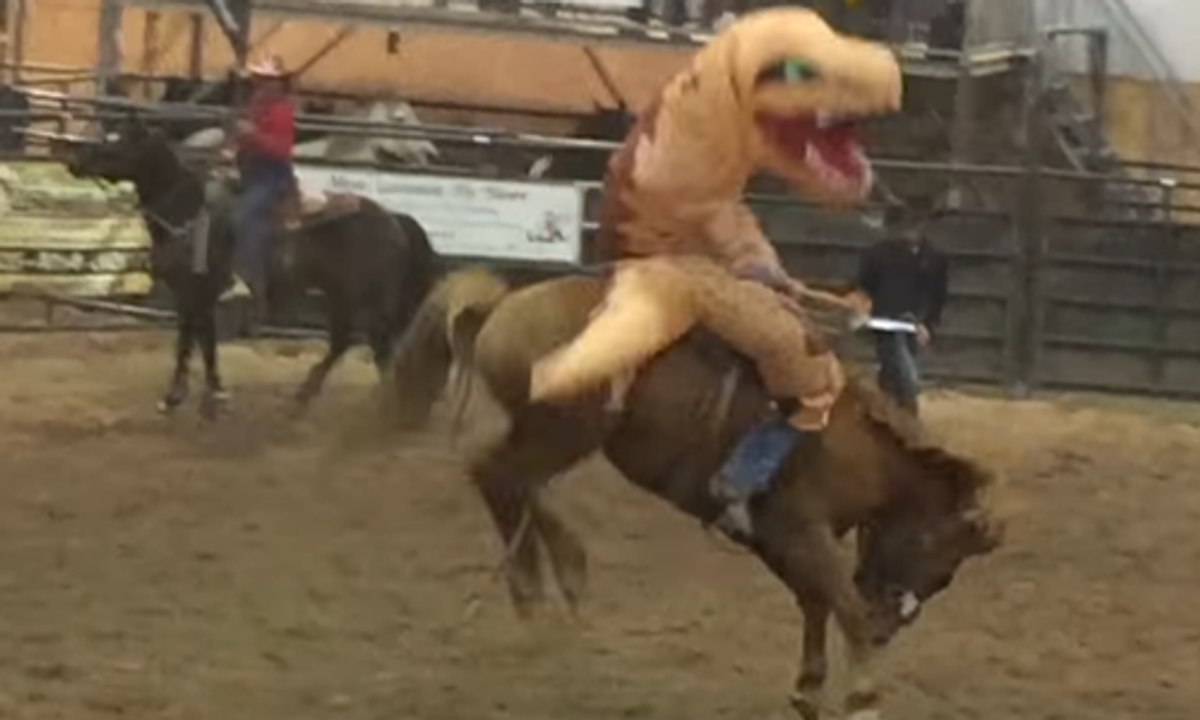 Déguisé en T-REX, il prends le départ d'un rodéo !