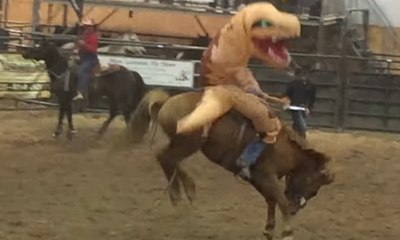 Déguisé en T-REX, il prends le départ d'un rodéo !