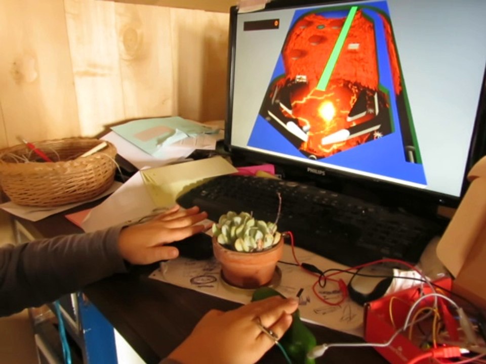 Le flipper de léguman