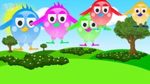 Birds Finger Family Nursery Rhyme for Babies
