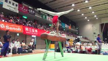 Kakeru Tanigawa All Japan Junior Gymnastics Championship 2016 PH
