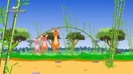 Finger Family Collection | Collection of Ten Animal Finger Family Rhymes | Vol 3