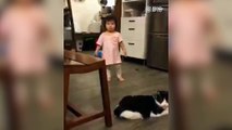 Un chat fait un croche-patte à une petite fille