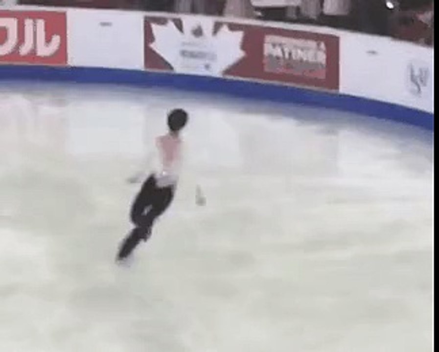 a swan warming up