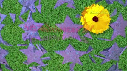 Paracetamol Panadol Side Effects (In Urdu) | Health Tips |  پیناڈول اور بانجھ پن میں تعلق