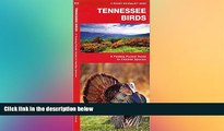 READ FULL  Tennessee Birds: A Folding Pocket Guide to Familiar Species (Pocket Naturalist Guide