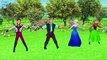 Frozen Elsa Kristoff Cartoon Finger Family Nursery Rhymes | Frozen Songs Children Nursery Rhymes