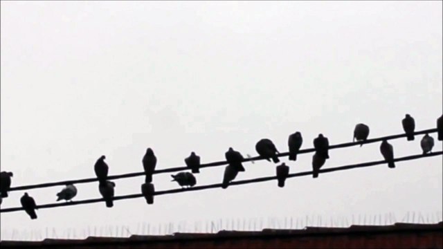 Cigar-shaped UFO over Luleå, Sweden on 09 26 2013