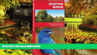 READ FULL  Boston Birds: A Folding Pocket Guide to Familiar Species (Pocket Naturalist Guide
