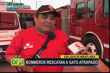 SJM: bomberos rescatan a gato atrapado entre paredes